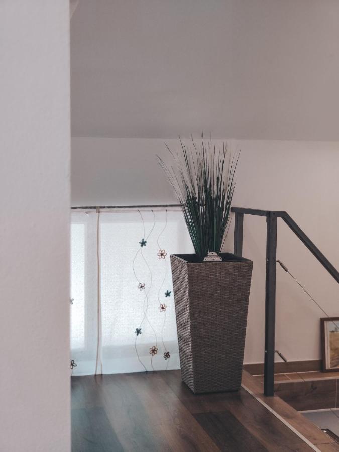 Villa-Apartments Bognar Velika Экстерьер фото